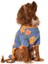Küçük ve Orta Irk Köpek Pijama Tulum Adumo Köpek Kıyafeti 3