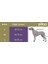 Köpek Göğüs Tasması Hi Dream Alicante 2
