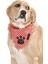 Köpek Bandana Tore 1