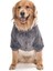 Orta ve Büyük Irk Köpek Polar Sweat Soro 3