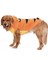 Orta ve Büyük Irk Köpek Polar Sweat Kotka 3