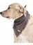 Köpek Bandana / Folle 1