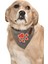 Köpek Bandana / Alke 1