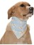 Köpek Bandana Pote 1