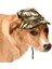 Küçük ve Orta Irk Köpekler Için Şapka Camo 1