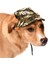 Küçük ve Orta Irk Köpekler Için Şapka Camo 2