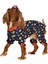 Küçük ve Orta Irk Köpek Pijama Tulum Vanya Köpek Kıyafeti 4