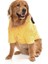 Orta ve Büyük Irk Köpek Polar Sweat Keta 4