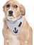 Köpek Bandana Brina 1