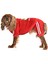 Küçük ve Orta Irk Köpek Pijama Tulum Goba Köpek Kıyafeti 1