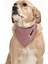 Köpek Bandana Anet 1