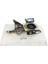 Motor Takozu 10543 Kango-Iıı 1.5dcı Cıtan 112108607R Gold 1