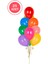 Parti Paketi 9/a Renkli Balon 1