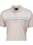 Erkek Pamuklu Merserize Kumaş T-Shirt Cepsiz Polo Yaka Kısa Kollu Çizgi Desenli Tam Kalıp 2