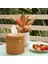 3x Rattan Tissue Box Toilet Paper Cover Wicker Decorative Holders With Lid (Yurt Dışından) 4