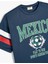 T-Shirt Mexico Baskılı Slogan Detaylı Kısa Kollu Renk Bloklu 3