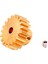 Rc Araba 19 T Motor Motor Dişli 12401-0297 104009 12402-A 12409 Rc Araba Aksesuarları (Yurt Dışından) 1