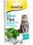 Mint Tips Ödül Tableti 40gr 1