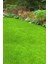 Çim Tohumu Ithal 7 Karışım 2 Adet Ankomer 1'lik Ambalajlarda ( Toplam 2 Kg. ) 7m Çim Tohumu Grass S. 2