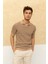 Çizgili Polo Yaka T-Shirt Taş 2