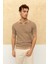 Çizgili Polo Yaka T-Shirt Taş 3