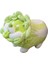 Lahana Köpek Peluş Yastık Doldurulmuş Hayvan Snuggly Yastık Sevimli Peluş Oyuncak Snuggle Buddy Sebze Köpek Peluş Çocuklar Erkekler Kızlar Için Kawaii Yumuşak Sarılma Yastık 17.7in (Yurt Dışından) 1