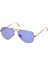 Unisex Güneş Gözlüğü RBG0RB3025 167-1M 55 3