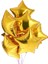 Yıldız Folyo Balon Gold Doğum Günü Parti Balonu 24 Inc 2