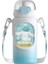 Çıkarılabilir Pipetli 460ML Öğrenci Yalıtımlı Su Bardağı Çocuk Taşınabilir Su Şişesi (Yurt Dışından) 1