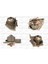 Su Pompası PA427 Rover 100 200 400 Freelander Jeep GWP333 Gold 1