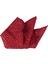 Cengiz Inler Karışık Desenli Mendilli Mikrofiber Erkek Kravat 3