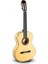 Flamenko Gitar MOD-213F 1
