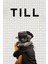 Till (2022) Film Posterinin 500 Parça Puzzle Yapbozu Sürüm5 1