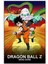 Dragon Ball Z: Dead Zone (1989) Film Posterinin 500 Parça Puzzle Yapbozu 1