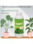 Çiçeksiz Bitkiler(Starliçe, Areka Palmiyesi, Bonzai Vb.)Için Sıvı BESIN,GÜBRE(100 Ml) 1
