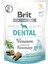 Care Functional Snack, Dişler ve Diş Etlerini Korumak Için, Tahılsız, Geyik Etli ve Biberiyeli, Fonksiyonel Yetişkin Köpek Ödülü, 150 G 1