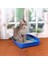 Proline Bebek Pudralı Topaklanan Bentonit Kedi Kumu Ince 20 Lt 4
