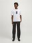 Jordelırıum Tee Ss Crew Neck Tg Ln Erkek Beyaz Tshirt 12256930-01 2
