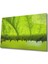 Dikenli Dal Yaprak Yeşil Cam Tablo 1