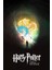 Harry Potter And The Order Of The Phoenix (2007) Film Posterinin 500 Parça Puzzle Yapbozu Sürüm3 F31 1