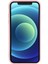 Apple 12 Telefon Kılıfı (Yurt Dışından) 2