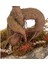 Ağaç Kabuğu Beton Saksıda Bonsai 3