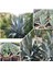 Agave Salmiana Saksılı Doğa Flora 1