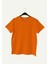 V Yaka Düz Hardal Erkek T-Shirt DZN8622 1