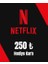 Netflix 250 TL Hediye Kartı 1