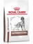 Royal Canın Gastrointestinal Köpek Maması 2 kg 1