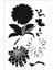 Stencil Sarayi Boyama Şablon 3 Boyutlu - 1516 1