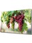 Üzüm Cam Tablo Grape 1