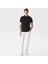 Erkek Polo T-Shirt 2
