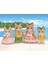 Sylvanian Families Çizgili Kedi Ailesi - Striped Cat Family 2